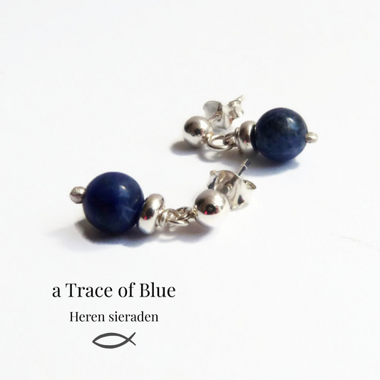 Men's earrings - earrings for men with Sodalite bead in silver