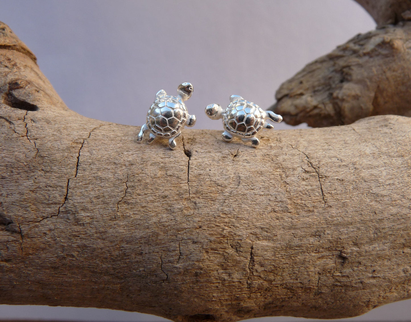 Silver Turtle Stud Earrings