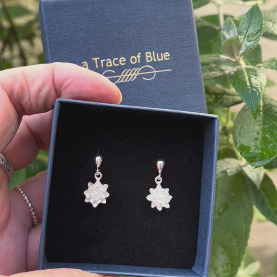 video opname van sieraden doosje met lotus bloem oorknopjes
